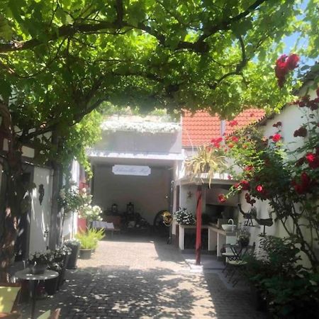 Ferienwohnung Im 'Schmoller - Hof' Neustadt an der Weinstraße Zewnętrze zdjęcie