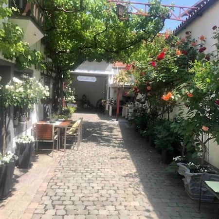 Ferienwohnung Im 'Schmoller - Hof' Neustadt an der Weinstraße Zewnętrze zdjęcie