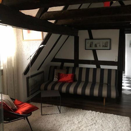 Ferienwohnung Im 'Schmoller - Hof' Neustadt an der Weinstraße Zewnętrze zdjęcie