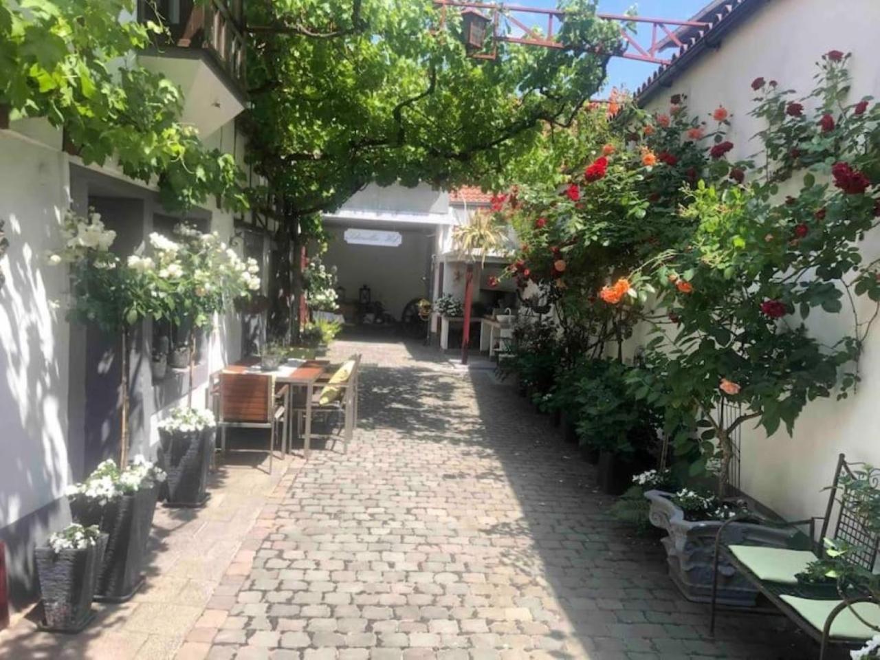 Ferienwohnung Im 'Schmoller - Hof' Neustadt an der Weinstraße Zewnętrze zdjęcie